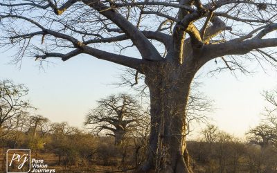 Save Valley Conservancy:_0052