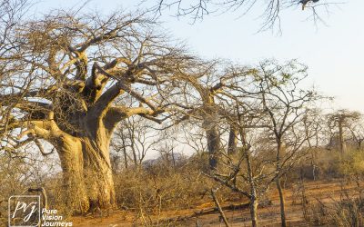 Save Valley Conservancy:_0053