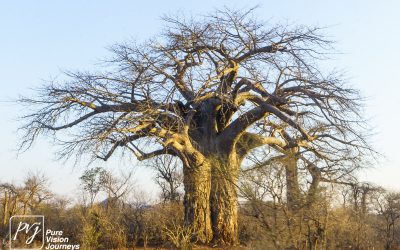 Save Valley Conservancy:_0054