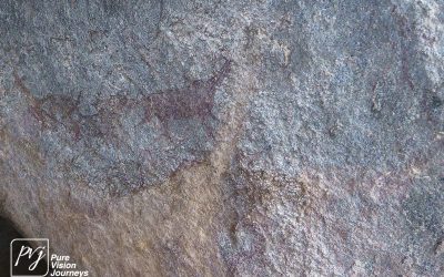 Save Valley Conservancy:_0057