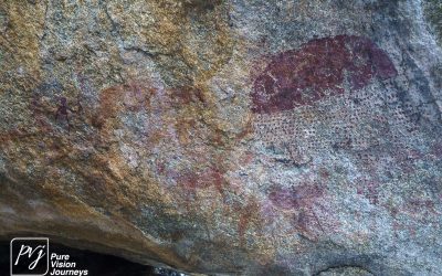 Save Valley Conservancy:_0062