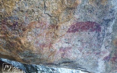 Save Valley Conservancy:_0063