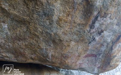 Save Valley Conservancy:_0064