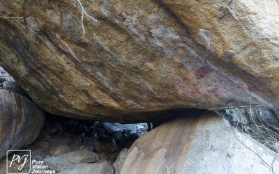 Save Valley Conservancy:_0065