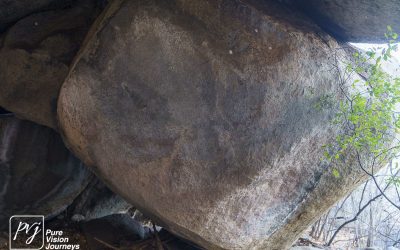 Save Valley Conservancy:_0066