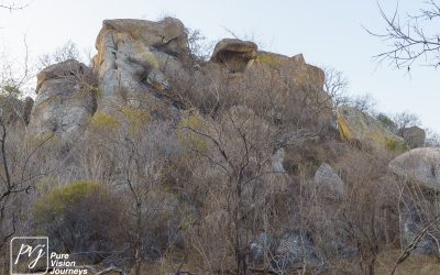 Save Valley Conservancy:_0067