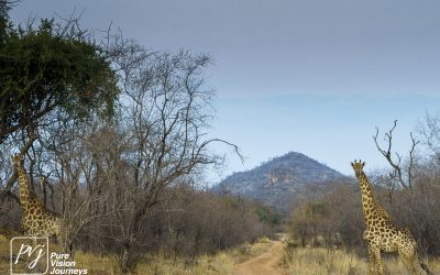 Save Valley Conservancy:_0068