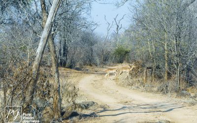 Save Valley Conservancy:_0071