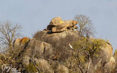 Save Valley Conservancy:_0072