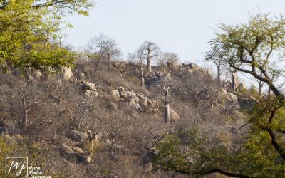 Save Valley Conservancy:_0073