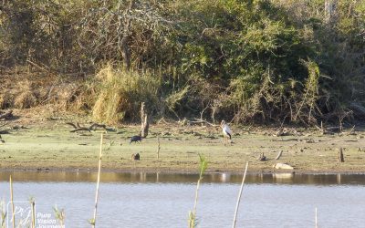 Save Valley Conservancy:_0075