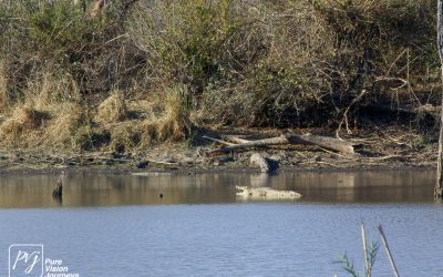 Save Valley Conservancy:_0076