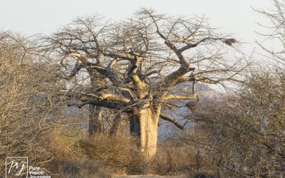 Save Valley Conservancy:_0086