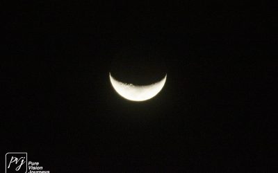 Save Valley Conservancy:_0092