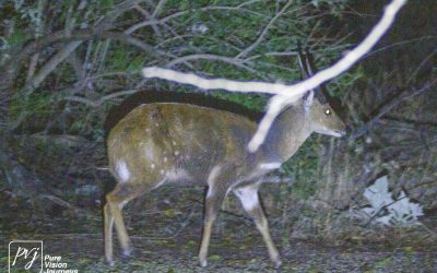 Save Valley Conservancy:_0093