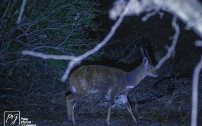 Save Valley Conservancy:_0094