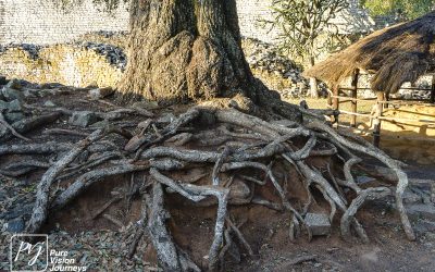 The Great Enclosure of Great Zimbabwe_0007