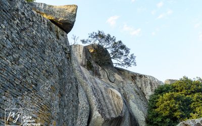The Hill Complex of Great Zimbabwe_0021