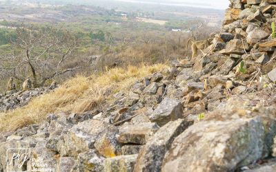 The Hill Complex of Great Zimbabwe_0070