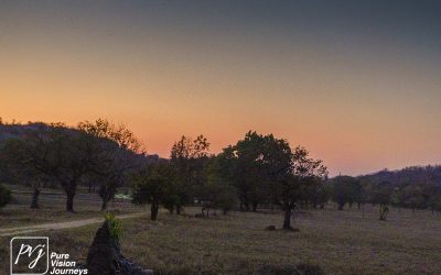 The Hill Complex of Great Zimbabwe_0072