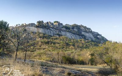 The Valley ruins of Great Zimbabwe _0009