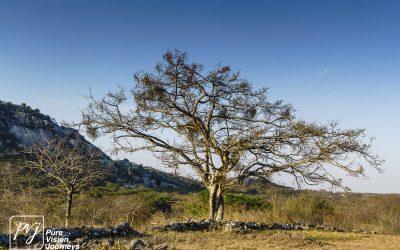The Valley ruins of Great Zimbabwe _0011
