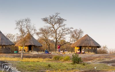 The Valley ruins of Great Zimbabwe _0026
