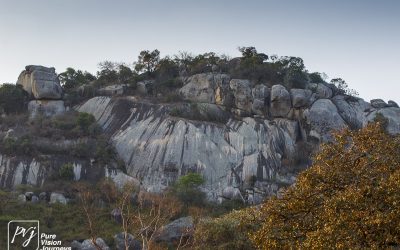 The Valley ruins of Great Zimbabwe _0039