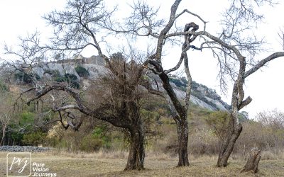The Valley ruins of Great Zimbabwe _0040