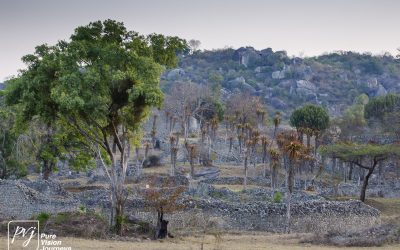 The Valley ruins of Great Zimbabwe _0046