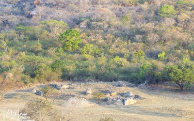 View of Valley & Enclosure_0008