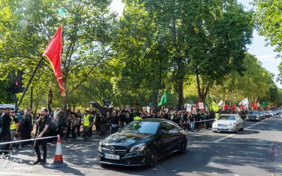 AshuraArbaeenSel_0020