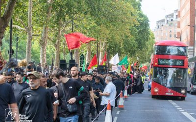 AshuraArbaeenSel_0024